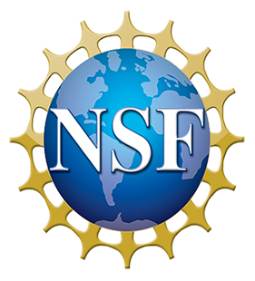 NSF Logo