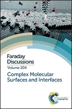 Complex molecular surfaces and interfaces: concluding remarks