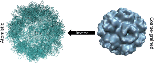 Reverse coarse-graining for equation-free modeling: application to multiscale molecular dynamics