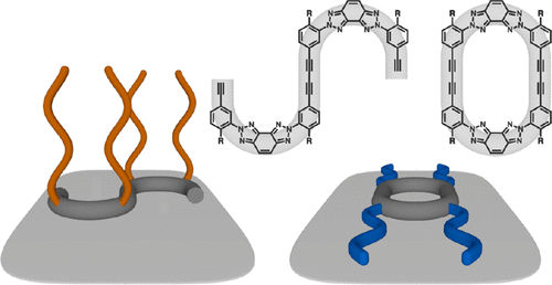 From Foldable Open-Chains to Shape-Persistent Macrocycles: Synthesis, Impact on 2D Ordering, and Stimulated Self-Assembly