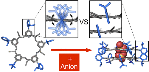Programmed Negative Allostery with Guest-Selected Rotamers Control Anion–Anion Complexes of Stackable Macrocycles